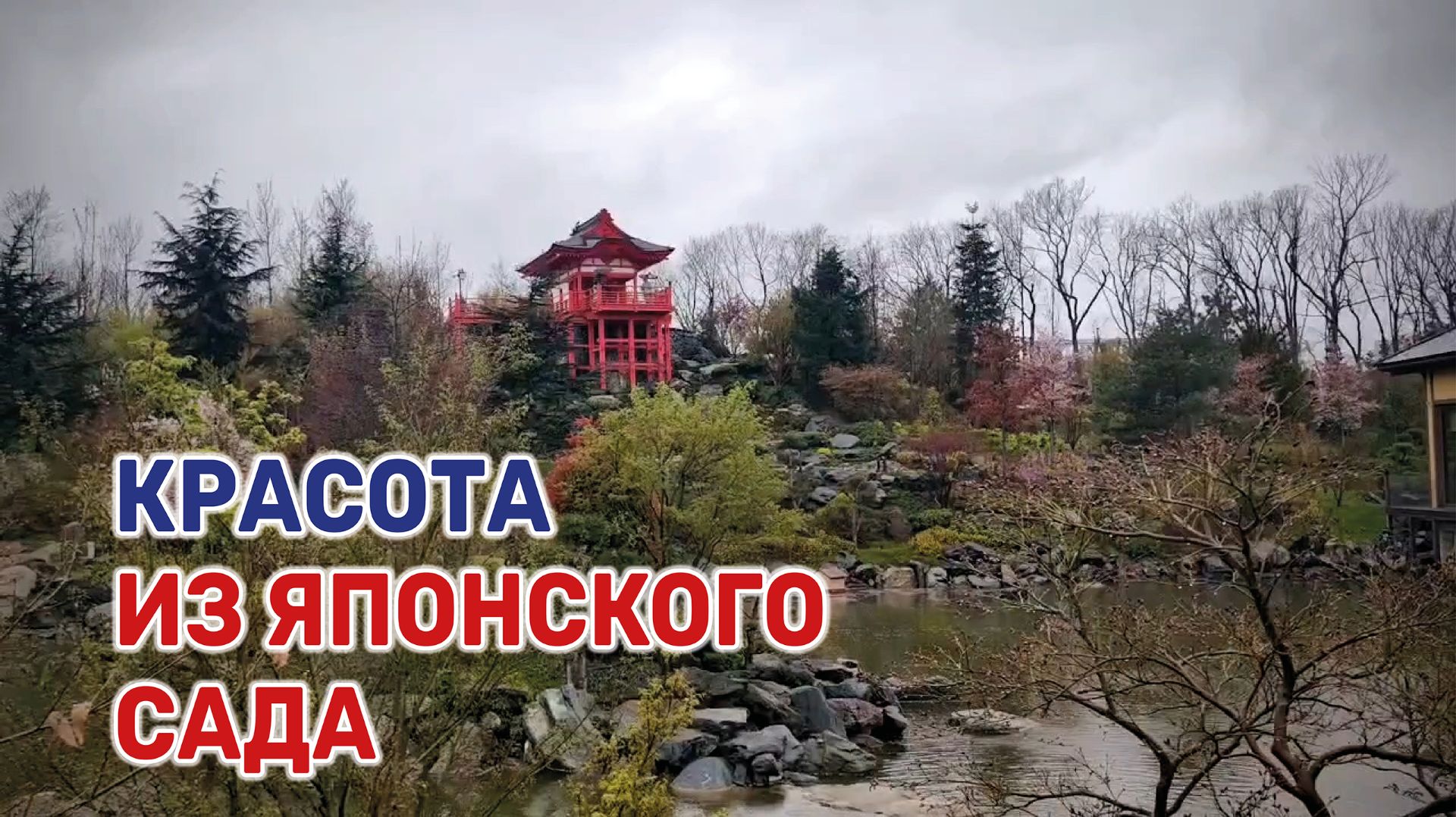 Что посмотреть в новом японском саду парка «Краснодар»