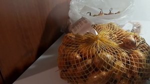 Розы.Лук и мои растишки.
16.04.26г.