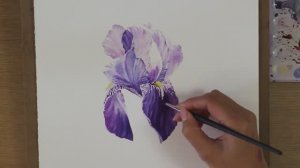 Как нарисовать ирис акварелью