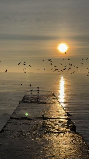 На берегу моря