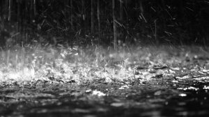 Путь рыцаря 31!