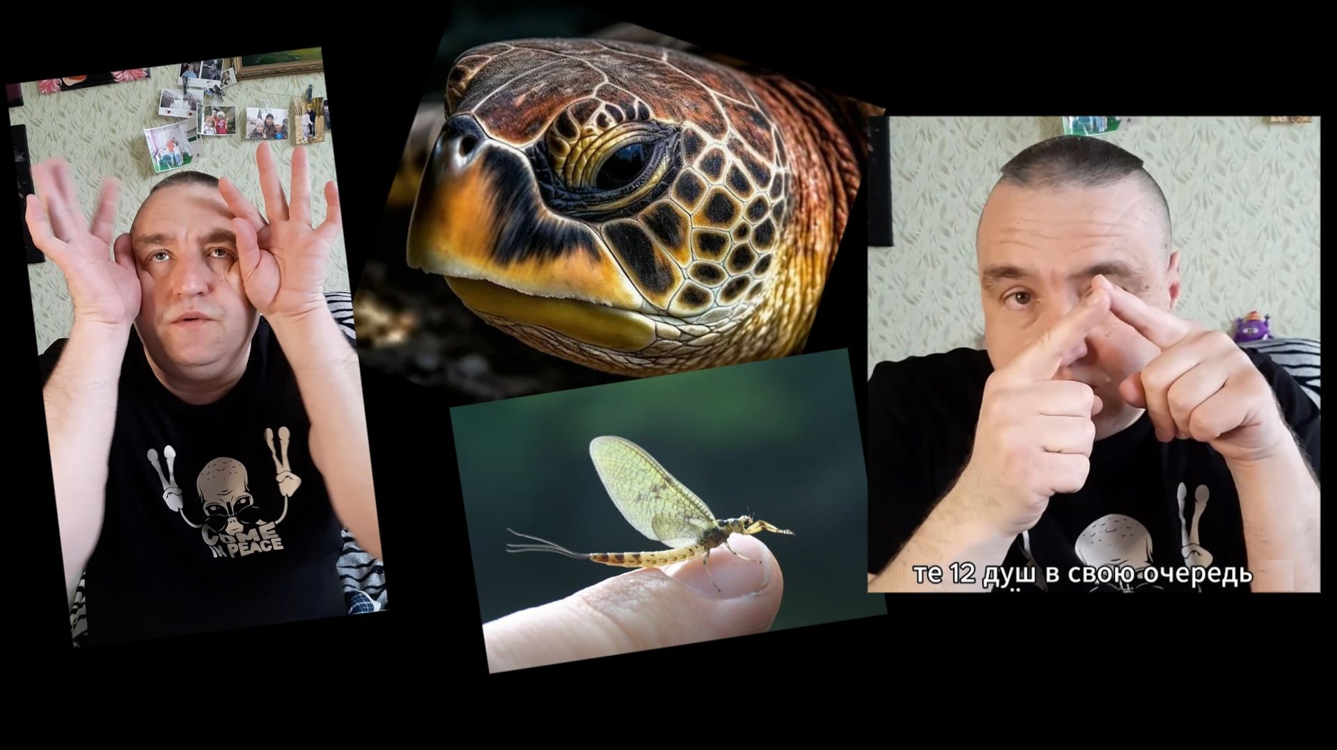 17 Возраст души