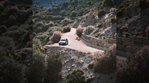 краткий пересказ фильма