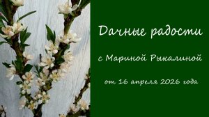 Дачные радости с Мариной Рыкалиной от 16 апреля 2026 года