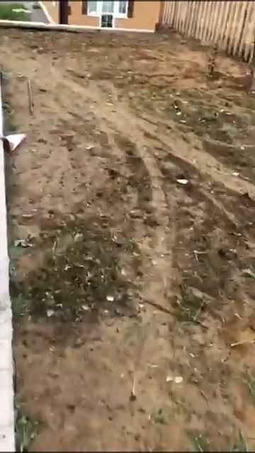 Укладка рулонного газона под ключ | GAZON GROUP | Москва