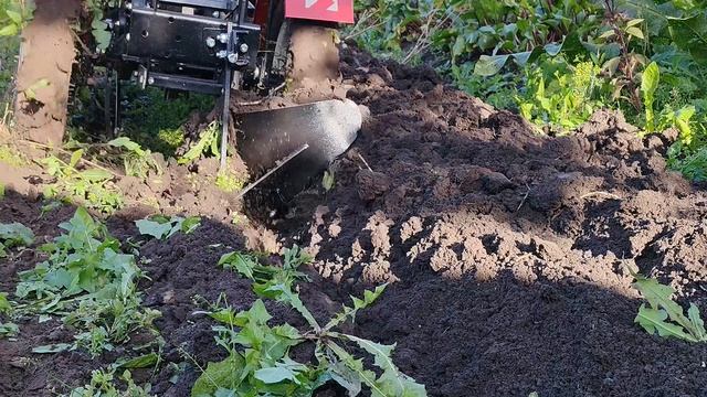 Стоит ли покупать Агромаш МТ-110? Честно о возможностях и ограничениях.