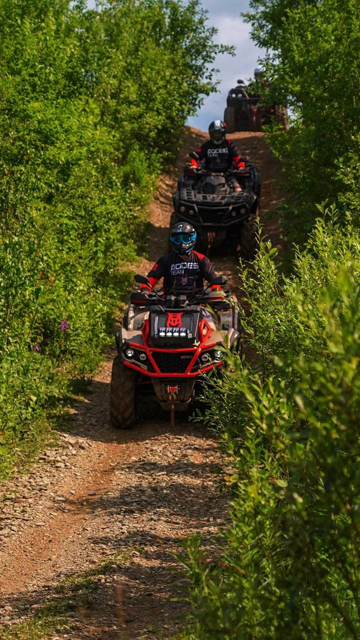 Актуальная новостная повестка 