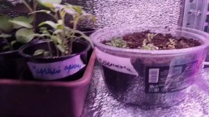 Я стала мамой!!! 35лет назад)))