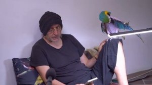 Бхарати Махарадж - Шримад Бхагаватам 5.23