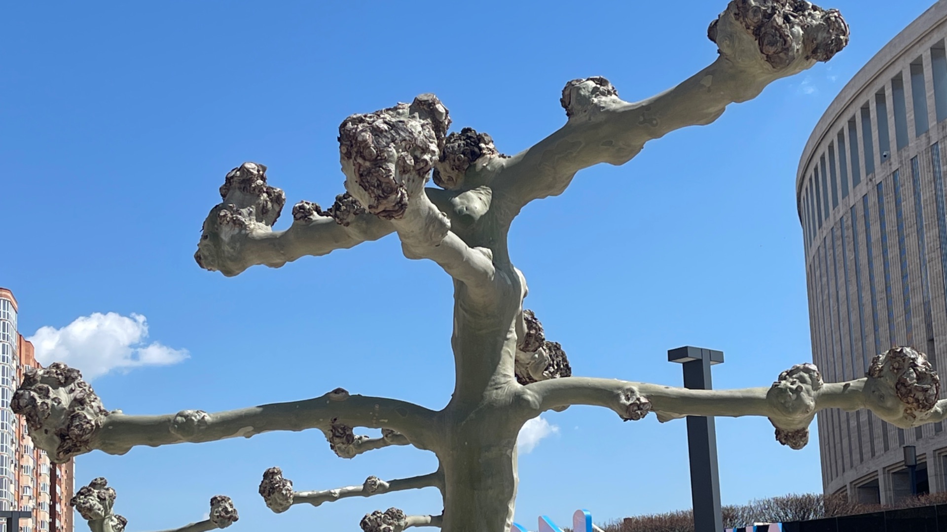 Парк Краснодар. Отличная прогулка