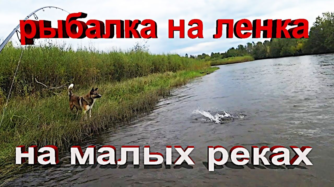 Рыбалка на реке на спиннинг.