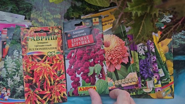 Какие цветы можно посеять в конце апреля - начале мая