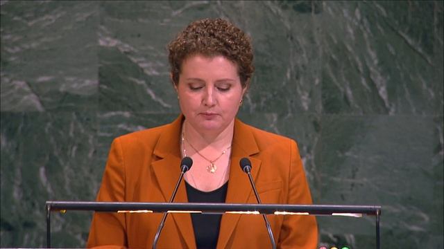 Выступление А.М.Евстигнеевой в ГА ООН по использованию права вето по резолюции по Ближнему Востоку