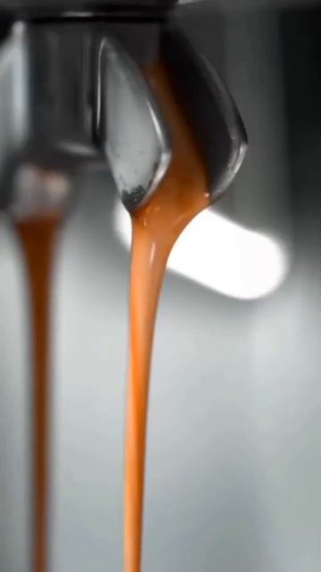 doc_2026-04-16_13-30-16