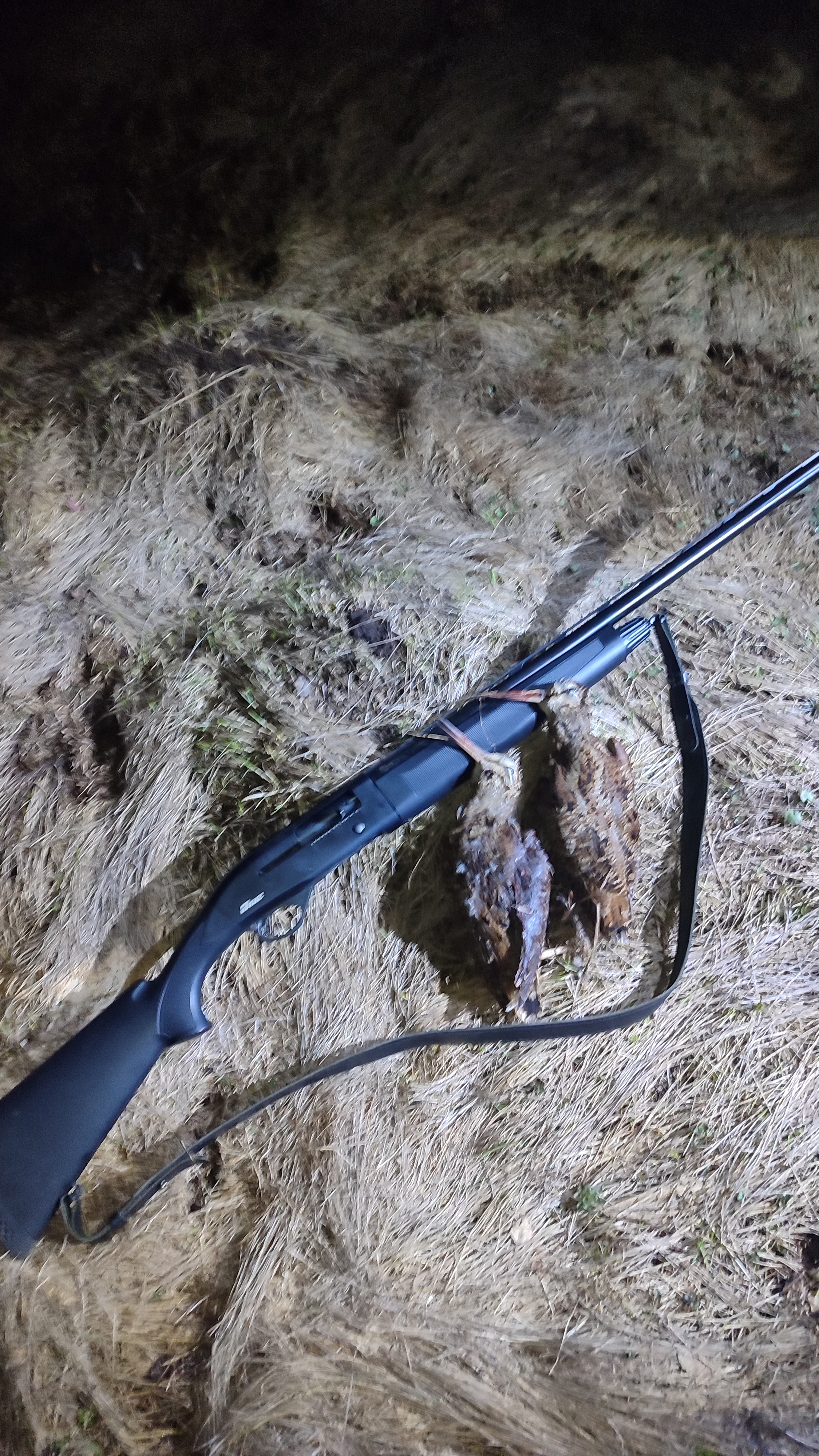 На тяге Вальдшнепа весной 2026💪