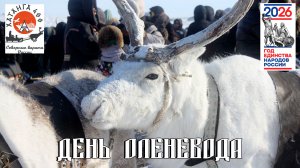 День оленевода 2026