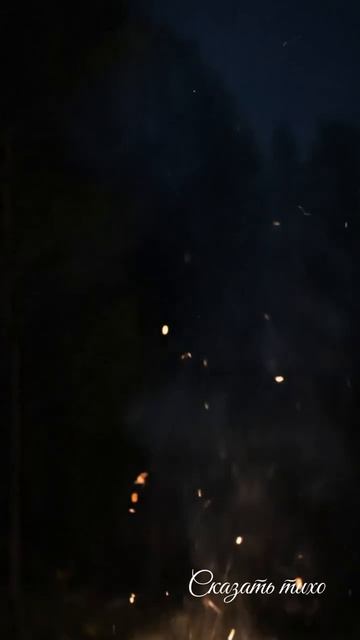 Не жалею, не зову, не плачу — Есенин