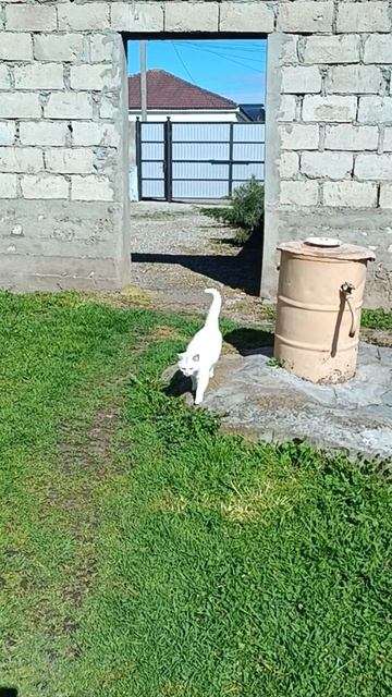 вот такая красота у нас