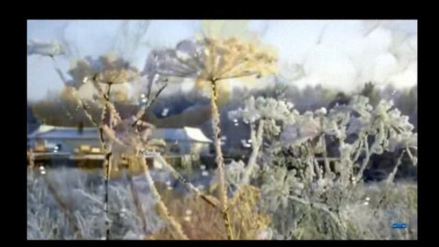 И Он тихо ушел, говоря, повторяя...Слова, муз. и исп. #СамуилФрумович