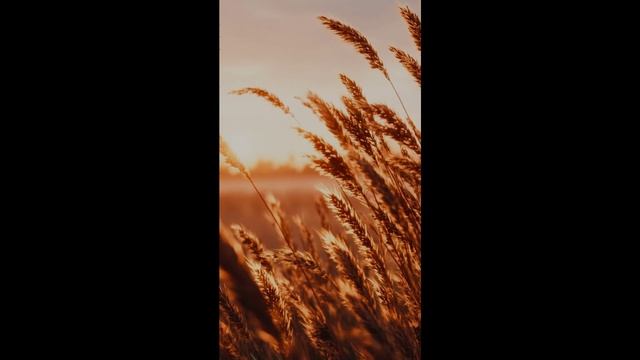 МЫ ИДЁМ! Марш ПОБЕДЫ. В. Девятков. Музыкальный видеоклип Е. Карлова