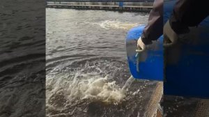 РК Савельево