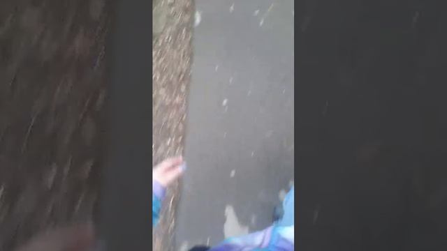 гуляю с другом