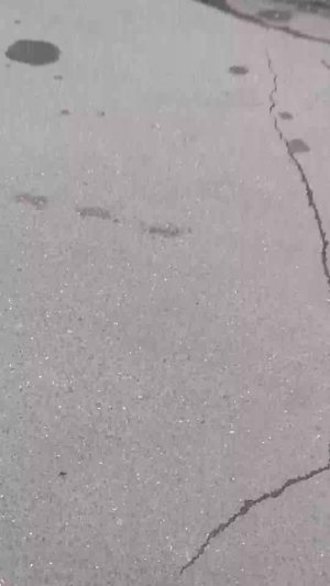 играем на улице Правда или действие