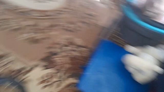 новый влог с новой Евой 