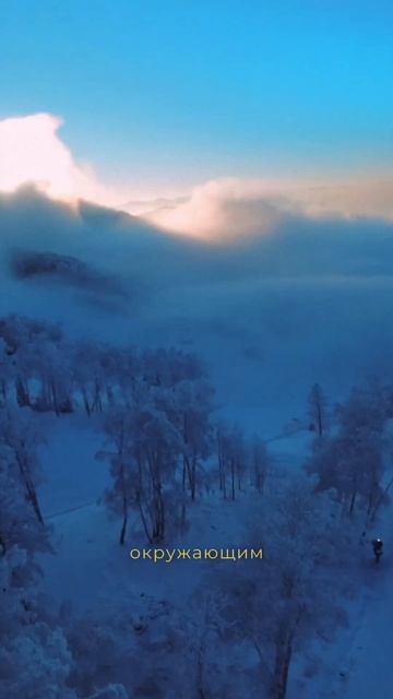 5 ноября 2025 г.