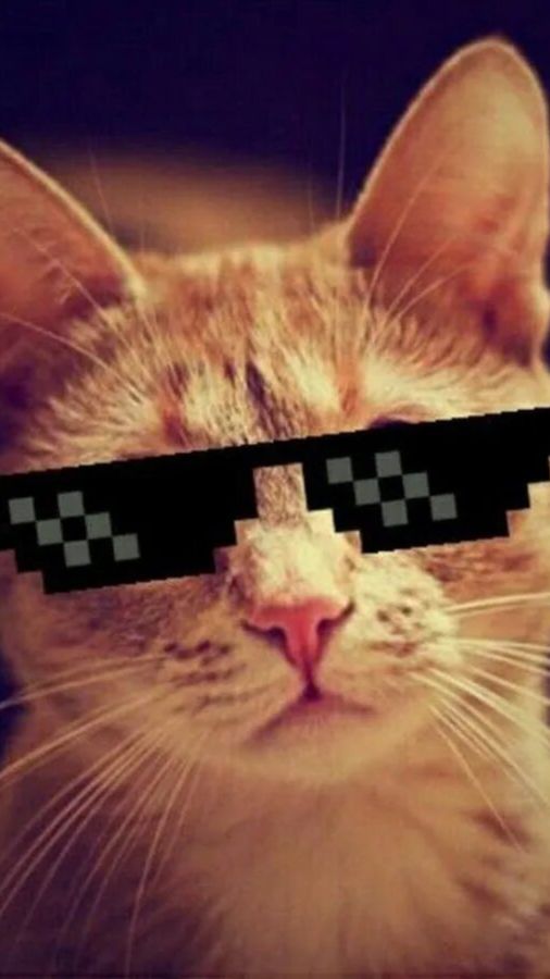 Наглый и циничный обман  честны людоловов