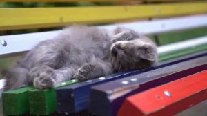 16-04-2026 Ставрополь клип