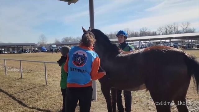 25-26 апреля в КСК 