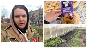 Накрыла ДЕПРЕССИЯ🥴 | Посеяла МОРКОВЬ🥕