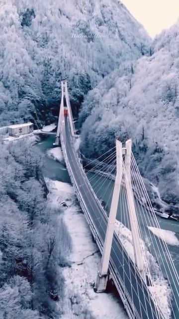 ❄️ Зимняя дорога в Красную Поляну