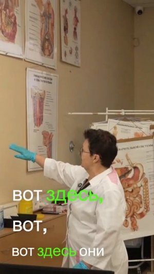 Техника работы с диафрагмальными лимфоузлами