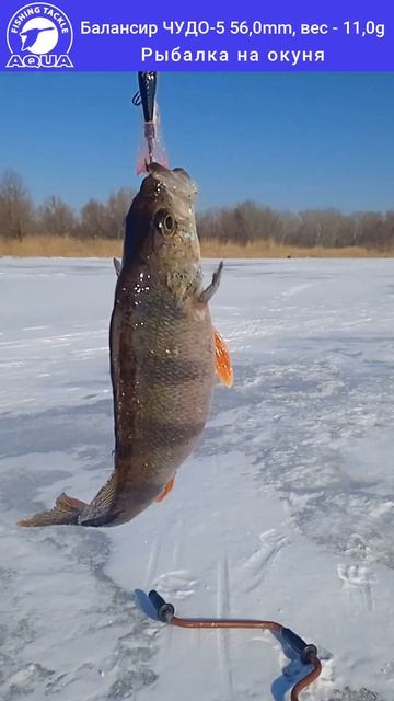 Для рыбалки на щуку окуня судака-  балансир AQUA Чудо.