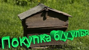 Как покупать ульи б/у и не занести заразу? Советы Кашковского 🐝⚠️
