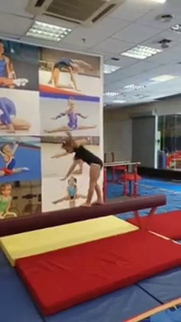 Колесо на бревне