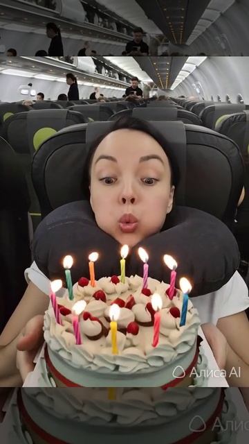 Источник: https:t.mebe_trained1956