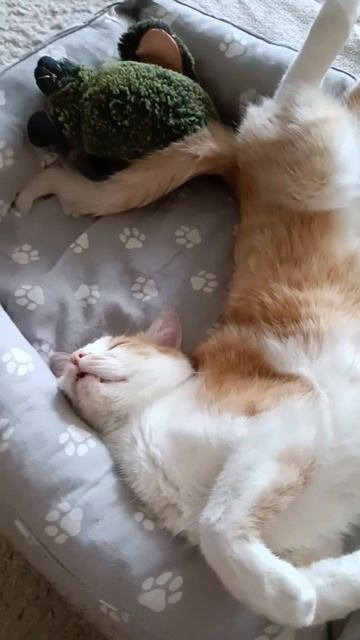 15 апреля 2026 г.