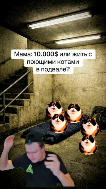 Прикол номер 176049