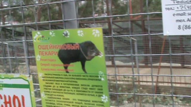 85)ГЕЛЕНЖИК САФАРИ ПАРК(2015 ГОД)