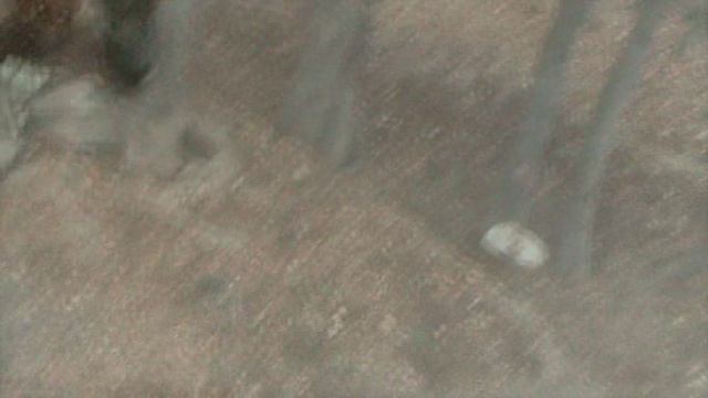 93)ГЕЛЕНЖИК САФАРИ ПАРК(2015 ГОД)