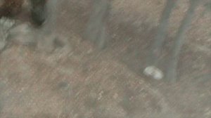 93)ГЕЛЕНЖИК САФАРИ ПАРК(2015 ГОД)