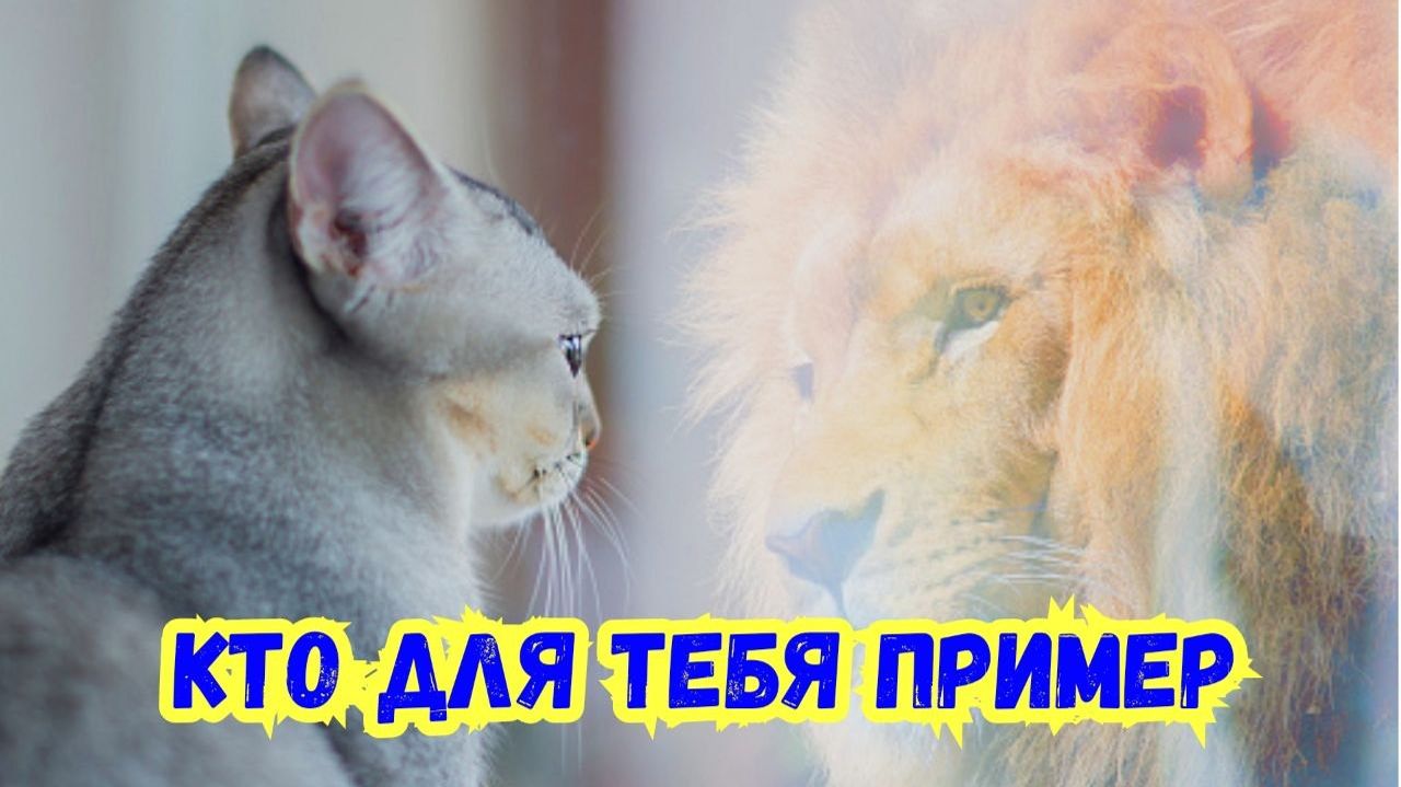 Кто для тебя пример.