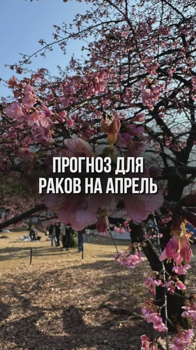 Больше подарков в моем канале, смотри в шапке профиля