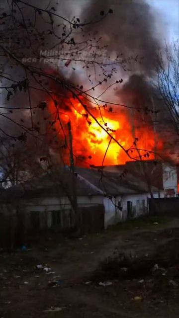 Украина. Шостка. Герани 2026