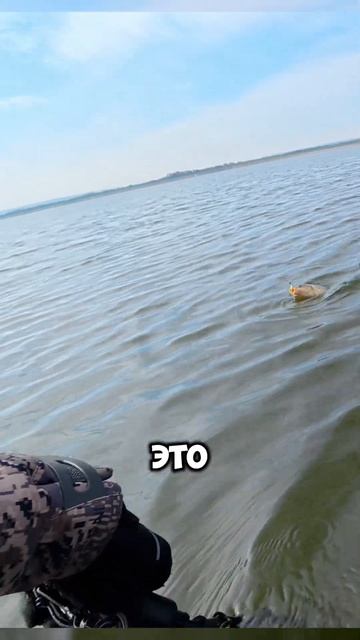 САЗАН на МИКРОДЖИГ  рыбалка fishing norstream