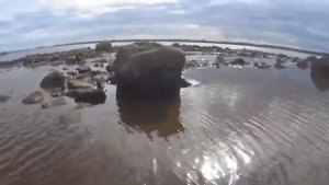 ТРЯСУ РЫБУ В МОРЕ С СЕТОК! СХОДИЛ НА МОРСКОЙ РОДНИК! ТАБЛИЦА ПРИБЫЛЫХ ВОД!