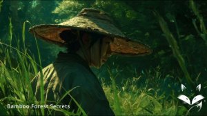 Bamboo Forest Secrets Traditional Chinese Lofi for Meditation and Study